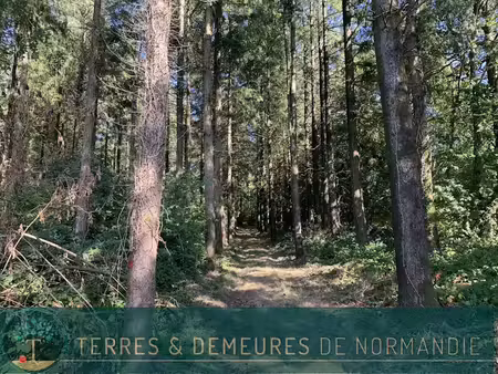 vente maison 1 pièce à vire (14500)  66 000 €