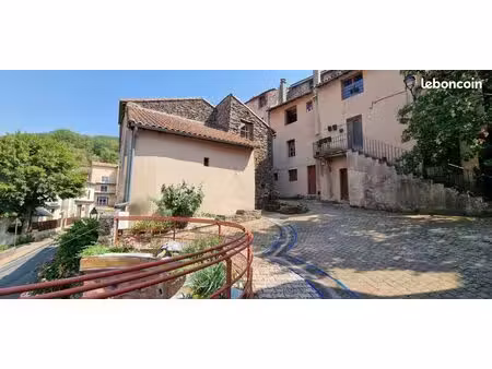 maison de village avec dépendance et jardin au cœur de saint-sernin-sur-rance