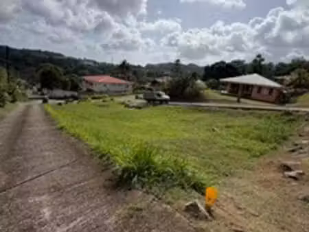 terrain à vendre ducos (972)