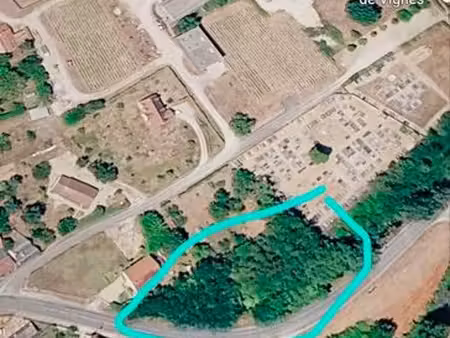 terrain boisé