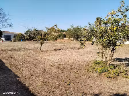 terrain constructible