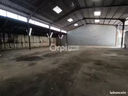 local d'activité 500 m²
