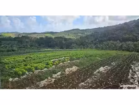 recherche terrain agricole
