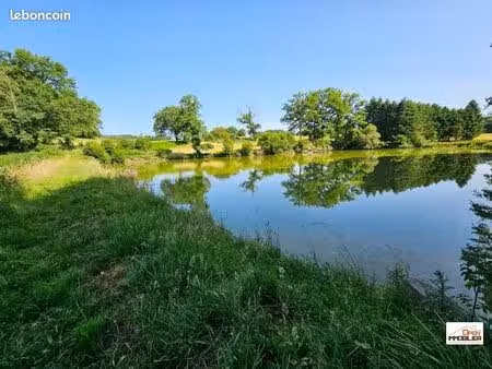 terrain 26 701 m² saint priest la feuille