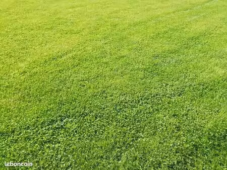 terrain 665 m² lamballe armor