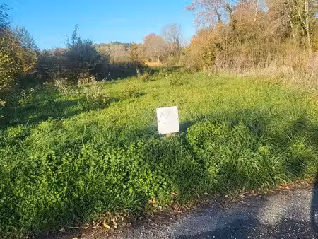 terrain agricole