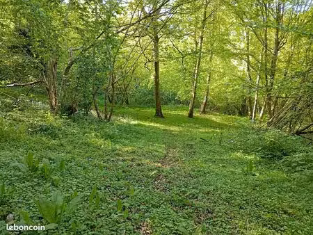 bois de 11000m2 vieux-port