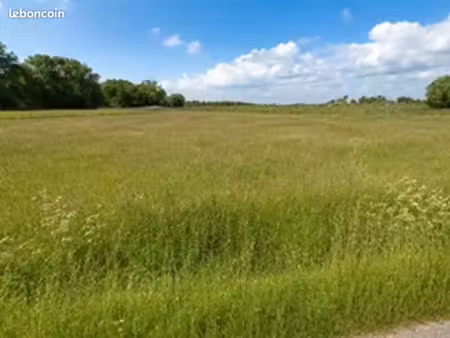 terrain 1 320 m² saint savin