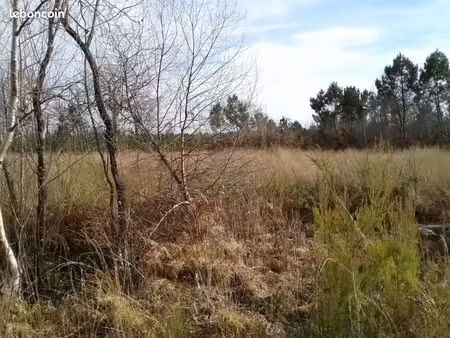 terrain 700 m² vertheuil