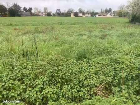 terrain 277 m² libourne