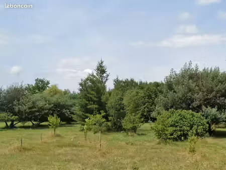 terrain 800 m² perissac