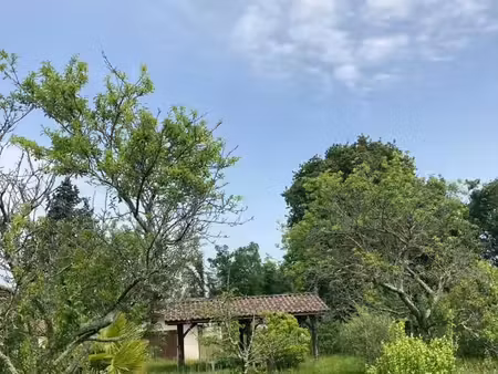 terrain 602 m² montussan