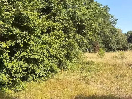 terrain 541 m² gradignan