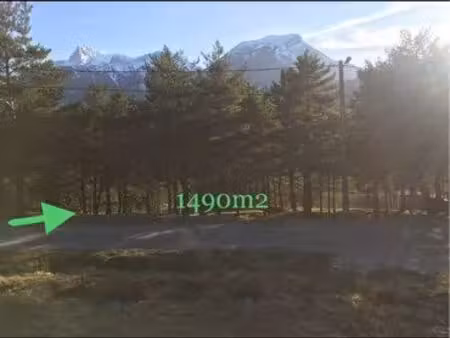 terrain ombragé dans pinède