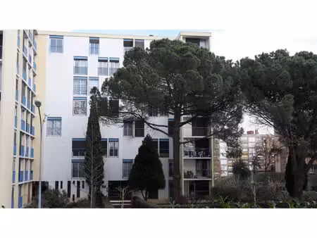 appartement à louer colomiers