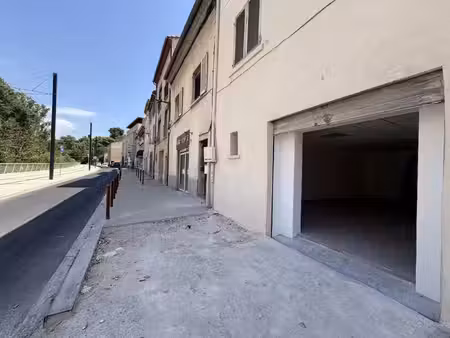 local commercial - avenue elzeard rougier