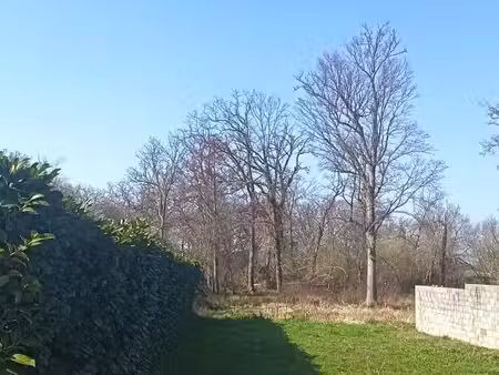 terrain 2 186 m² lanton