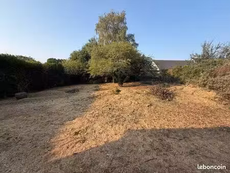 terrain constructible