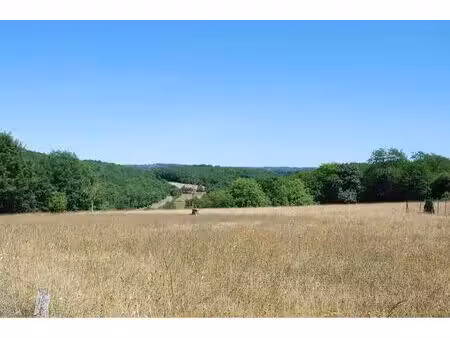 terrain à vendre