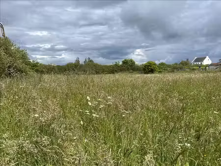 terrain à vendre