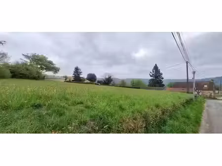 terrain