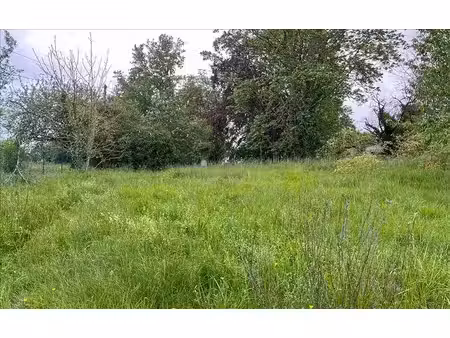terrain à vendre