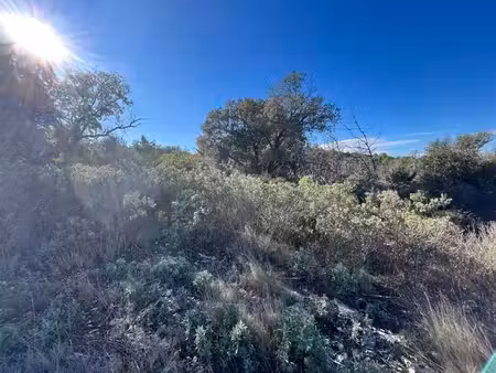 terrain