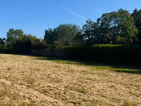 terrain à vendre