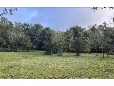 terrain à vendre