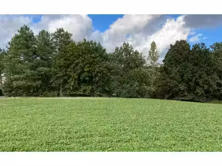 terrain à vendre