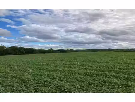 terrain à vendre
