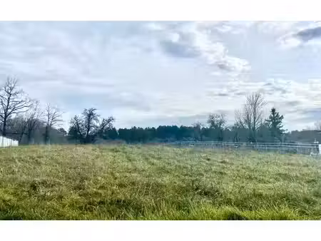 terrain