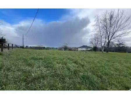 terrain