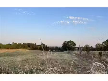 terrain