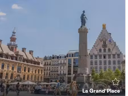 place de parking braderie de lille
