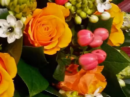 fonds de commerce de fleurs
