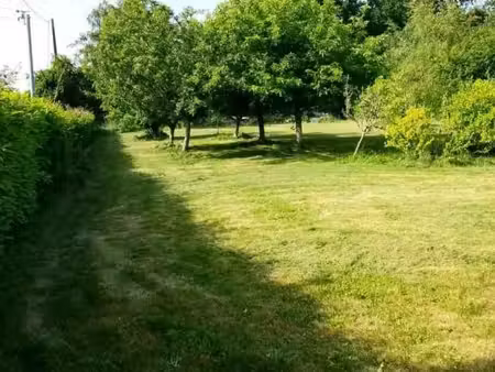 terrain constructible - caro