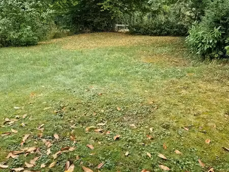 appartement à fayl billot