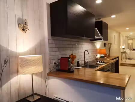 location appartement meublé 45m² lille vauban