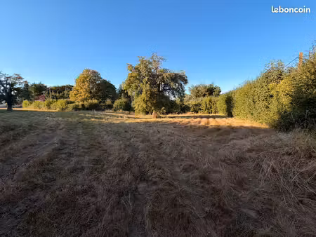 grand terrain à bâtir d’environ 2 000 m² – haies – viabilisation en cours