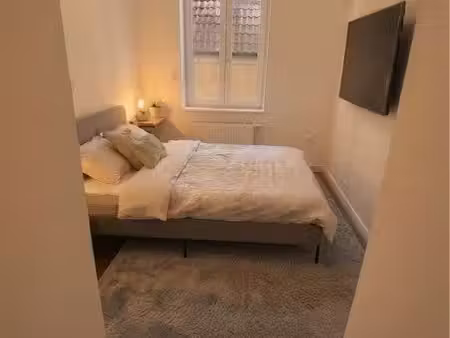 appartement metz 46 m2 meublé
