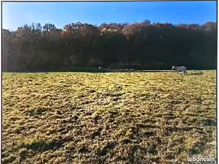 terrain 2 937 m² benac