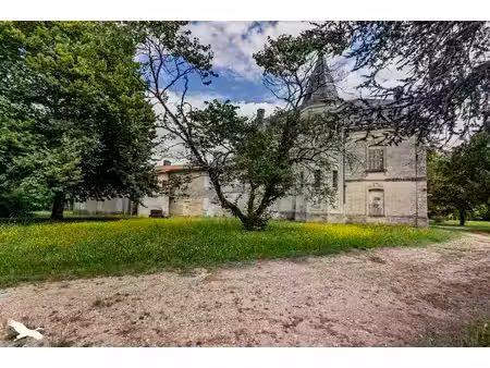 château à vendre