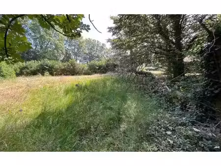terrain à vendre