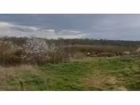 terrain à vendre