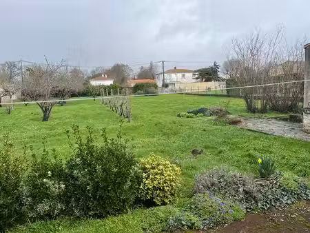 terrain