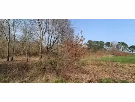 terrain à vendre