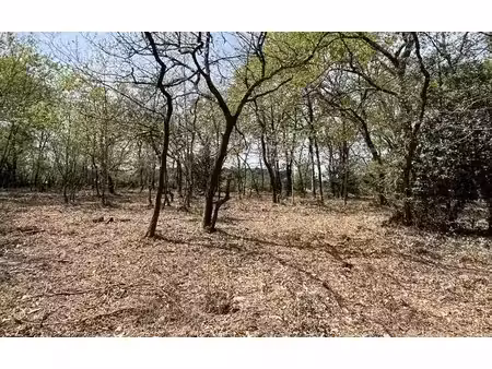 terrain
