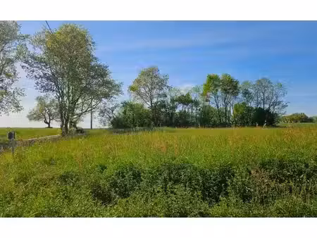 terrain à vendre
