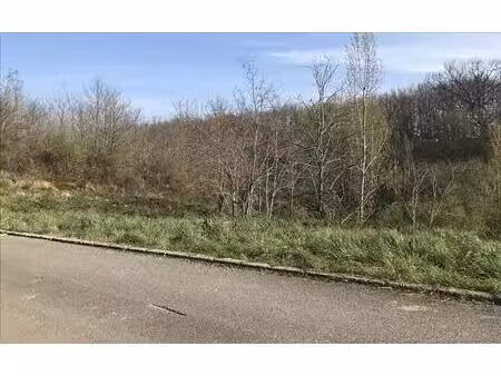 terrain à vendre